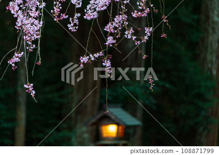 靜岡縣守知郡森町一宮市 奧國神社及其轄區 靜岡縣守知郡森町一宮市 奧國神社及其轄區 108871799