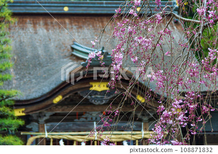 Ichinomiya, Mori-machi, Shuchi-gun, Shizuoka Prefecture Okuni Shrine and its precincts Ichinomiya, Mori-machi, Shuchi-gun, Shizuoka Prefecture Okuni Shrine and its precincts 108871832