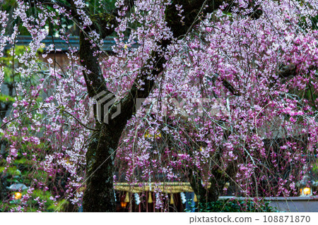 靜岡縣守知郡森町一宮市 奧國神社及其轄區 靜岡縣守知郡森町一宮市 奧國神社及其轄區 108871870