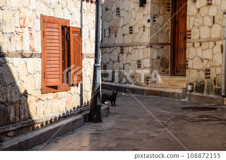 Black cat around corner at home. Black cat runs across the road. 108872155