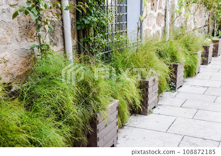 wooden boxes flower beds 108872185