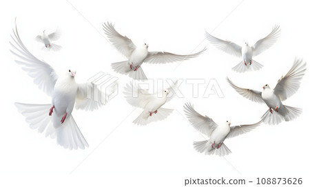 collage free flying white doves 108873626