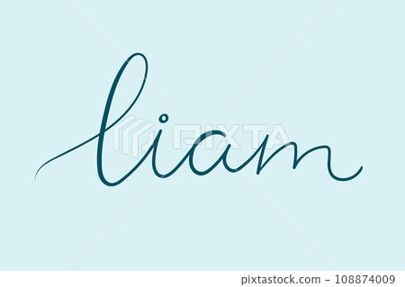 Male name Liam. Handwritten lettering calligraphy Boy name. Vector illustration 108874009
