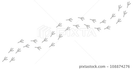Path of White footprints of crow, raven, magpie, sparrow, dove, bird in the snow. Crow paw print, Contour. Diagonal track. Vector isolated. Pet shop, textile, print, clothing, textile, postcard. 108874276