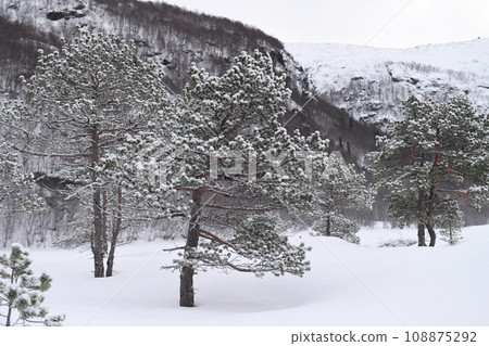 Arctic Norway in Winter 108875292