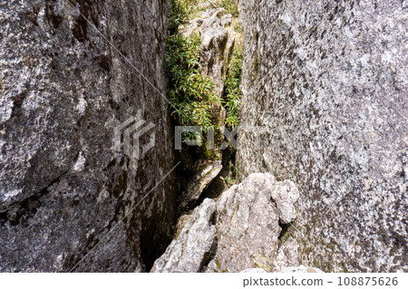 屋久島永田山及週邊風景 108875626