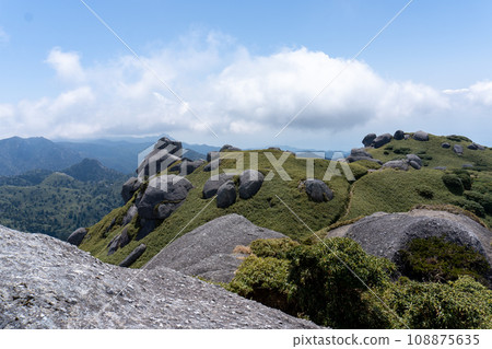 Mt. Nagata in Yakushima and the surrounding scenery 108875635