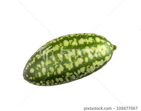 Cucamelon Melothria Scabra mexikani Minimelone Mausmelon Cucamelon Melothria Scabra mexikani Minimelone Mausmelon 108877067