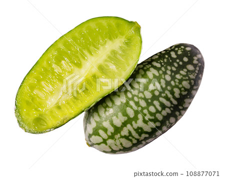 Cucamelon Melothria Scabra mexikani Minimelone Mausmelon 108877071