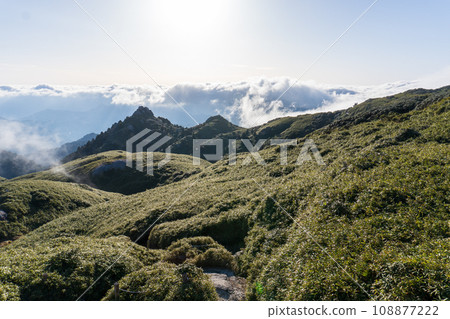 Mountain trail between Mt. Nagata and Shintakatsuka Hut in Yakushima Mountain trail between Mt. Nagata and Shintakatsuka Hut in Yakushima 108877222