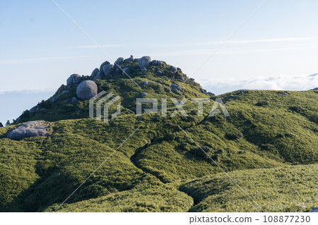 The view from Hiraishi to Shintakatsuka Koya in Yakushima The view from Hiraishi to Shintakatsuka Koya in Yakushima 108877230