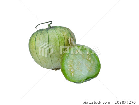 physalis philadelphica. Tomatillo or Mexican husk tomato physalis philadelphica. Tomatillo or Mexican husk tomato 108877276