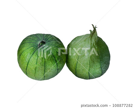 physalis philadelphica. Tomatillo or Mexican husk tomato physalis philadelphica. Tomatillo or Mexican husk tomato 108877282