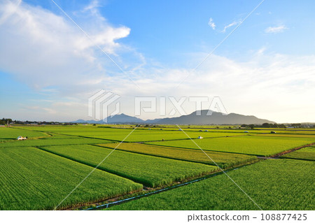 Echigo Plain and Mt. Yahiko Kakuda (Niigata Prefecture) 108877425