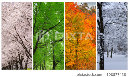 AI generated image Spring/summer/autumn/winter collage background image 108877438