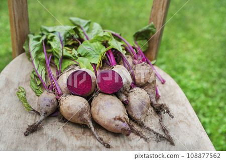 Beetroot 108877562