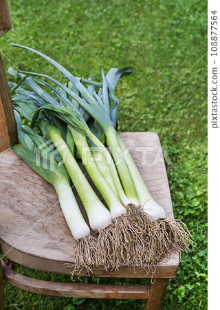 Leeks Leeks 108877564