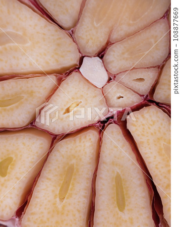 macro photo of a cut of a head of garlic closeup 108877669