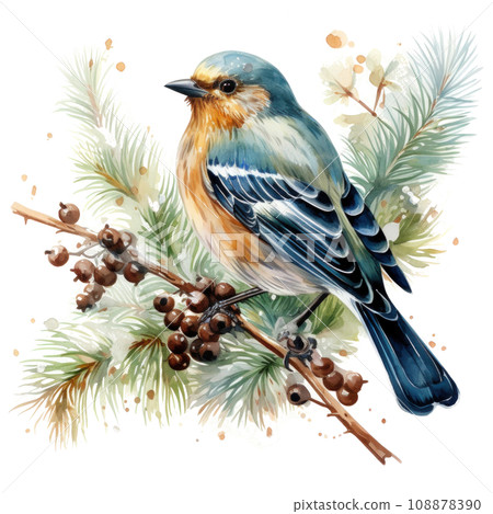 watercolor winter fir with bird isolated 108878390