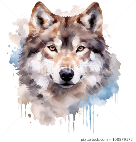 art watercolor art illustration isolated art watercolor art illustration isolated 108879173