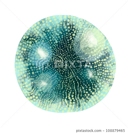 Unicellular protozoa. Color illustration of a single-celled bacterium. For printing textbooks, encyclopedias, brochures and posters on biology and medicine. For printing on objects and website design. 108879465