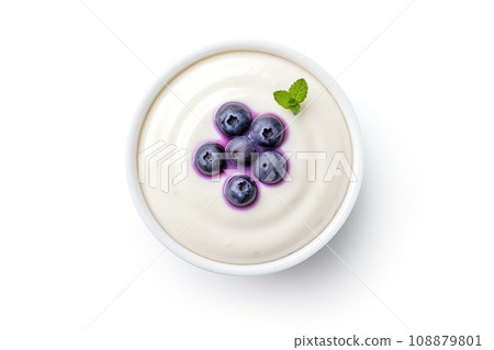 Blueberry Panna Cotta, Fruit Pannacotta, Creamy Italian Dessert, Panacotta with Figs, Raspberries, Strawberries 108879801