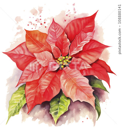 watercolor poinsettia christmas wreath flower isolated watercolor poinsettia christmas wreath flower isolated 108880141