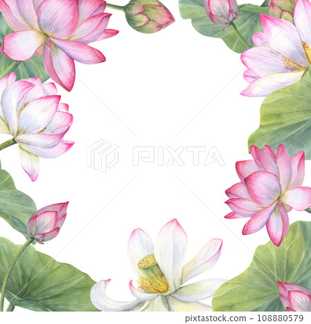 Blooming water lilies with leaves. Lotus flowers, Indian lotus, green leaf, bud. Space for text. Watercolor illustration of Vietnamese national flowers. For greetings, label. Copy space for text 108880579
