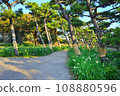 三浦市三崎町城島風景 108880596