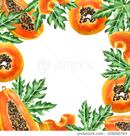 Watercolor frame with sweet ripe slice of papaya with grains. Hand drawn realistic tasty organic illustration of exotic tropical fruit isolated on background. For designers, wedding, decoration, Watercolor frame with sweet ripe slice of papaya with grains. Hand drawn realistic tasty organic illustration of exotic tropical fruit isolated on background. For designers, wedding, decoration, 108880764