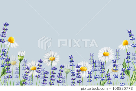 Watercolor banner with lavender and chamomiles illustration isolated on white background. Detail of beauty products and botany set, cosmetology and medicine. For designers, spa decoration, postcards, 108880778