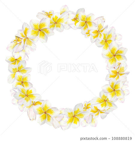 White frangipani wreath. Watercolor hand drawn clip art of exotic flower plumeria. Tropical painting for wedding invitations, spa and massage salon prints, cosmetic packing, travel guides 108880819