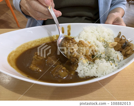 woman eating cutlet curry woman eating cutlet curry 108882013