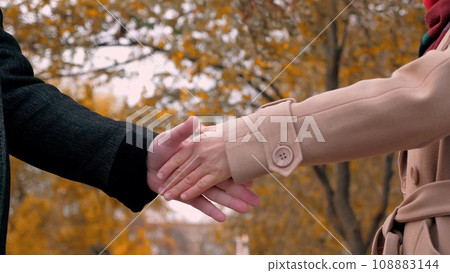 Polite handshake between man and woman at business meeting in autumn park 108883144