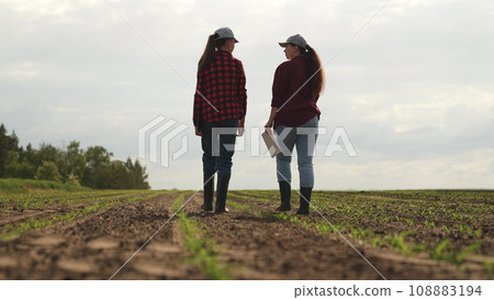 farmer tablet work field, business colleague, partner team group people, teamwork, sprout corn farm soil, legs rubber boots with tablet, walking corn field, high quality, wi-fi, sprout, tablet screen 108883194