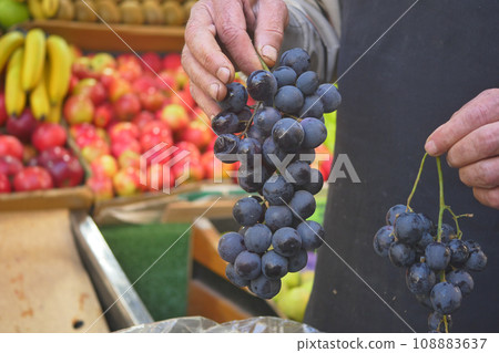 men holding fresh grape fruit at the market  108883637