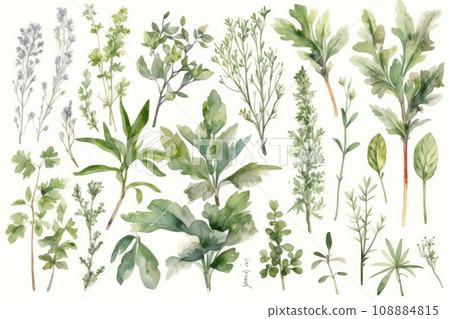 Set of Leaf watercolor clipart 108884815