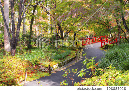 Ohara Sanzen-in Temple in Kyoto with autumn leaves, behind the hydrangea garden, red bridge over the Tsugawa River Ohara Sanzen-in Temple in Kyoto with autumn leaves, behind the hydrangea garden, red bridge over the Tsugawa River 108885028