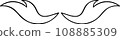 Decoration/Pattern PNG & Vector 108885309