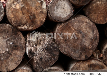 freshly harvested firewood freshly harvested firewood 108885613