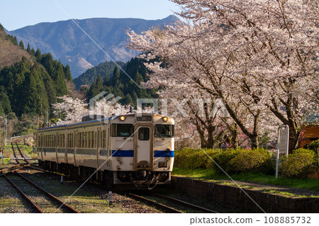 吉哈47系列柴油列車抵達彥山站,櫻花盛開 吉哈47系列柴油列車抵達彥山站,櫻花盛開 108885732