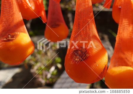 Astringent persimmons become sweeter when dried. It's like magic. 108885850