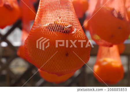Astringent persimmons become sweeter when dried. It's like magic. Astringent persimmons become sweeter when dried. It's like magic. 108885853