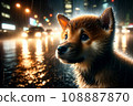 A lost puppy standing on a rainy night while watching cars passing by on the main street: AI-generated image 108887870