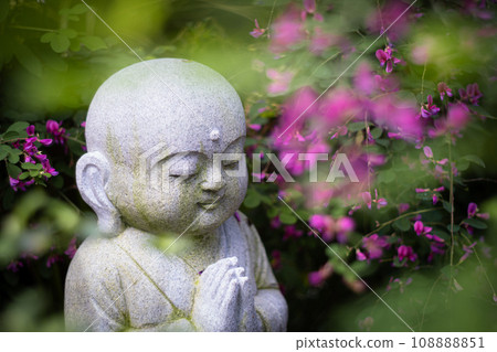 Photographing the neat autumn clover bushes blooming at Shonenji Temple in Fushimi Ward, Kyoto City 108888851