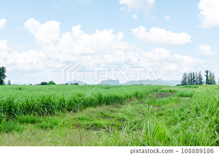 Landscape of flowers, mountains and sky amidst nature 108889186