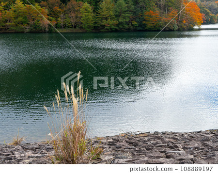 Lake Mizumine in autumn Lake Mizumine in autumn 108889197