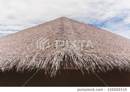 Dry sedge background used as a roof of natural dry grass background. 108889316