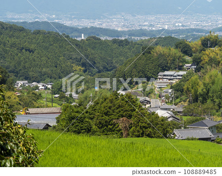 飛鳥村細川的梯田綠意盎然 飛鳥村細川的梯田綠意盎然 108889485