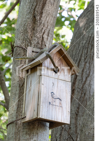 Bird nest box attacked by snake Bird nest box attacked by snake 108889543